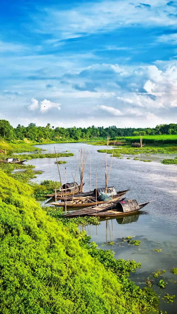 UP: Bodies of two missing teenagers recovered