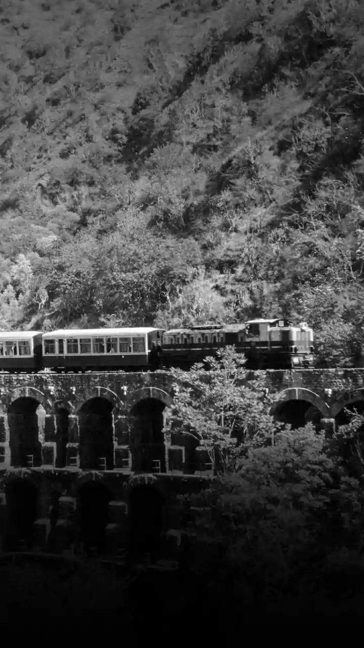 Central Railway Collects ₹183.16 Crore From Ticketless Travellers In FY 2025–26, Cases Rise By 10 Per Cent