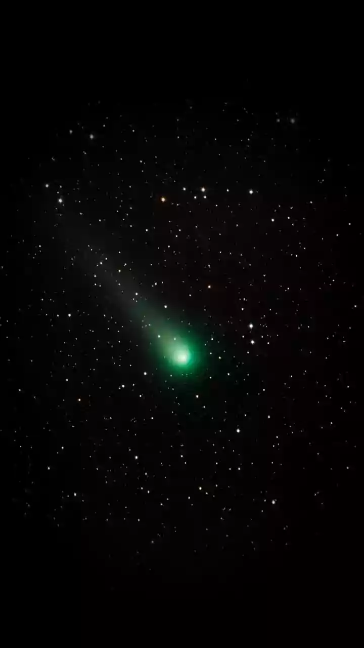 Interstellar Comets Are Natural Samples From Elsewhere