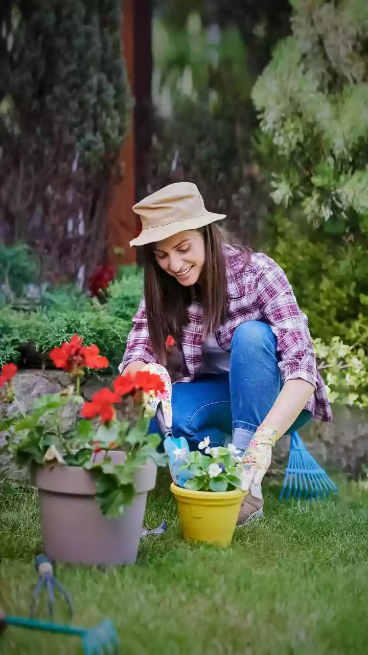 Cooler Weather Gives Beginners More Plant Confidence