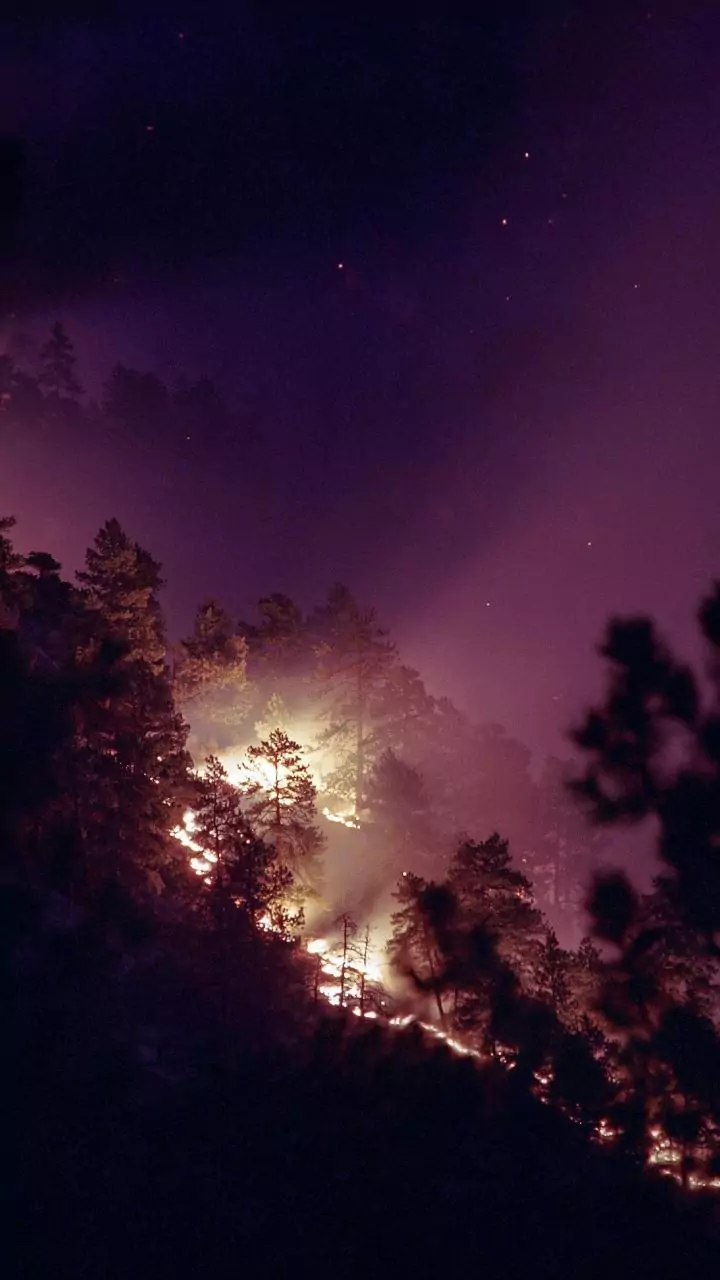 Himachal: 16 house gutted in massive fire in Kullu village, no casualty