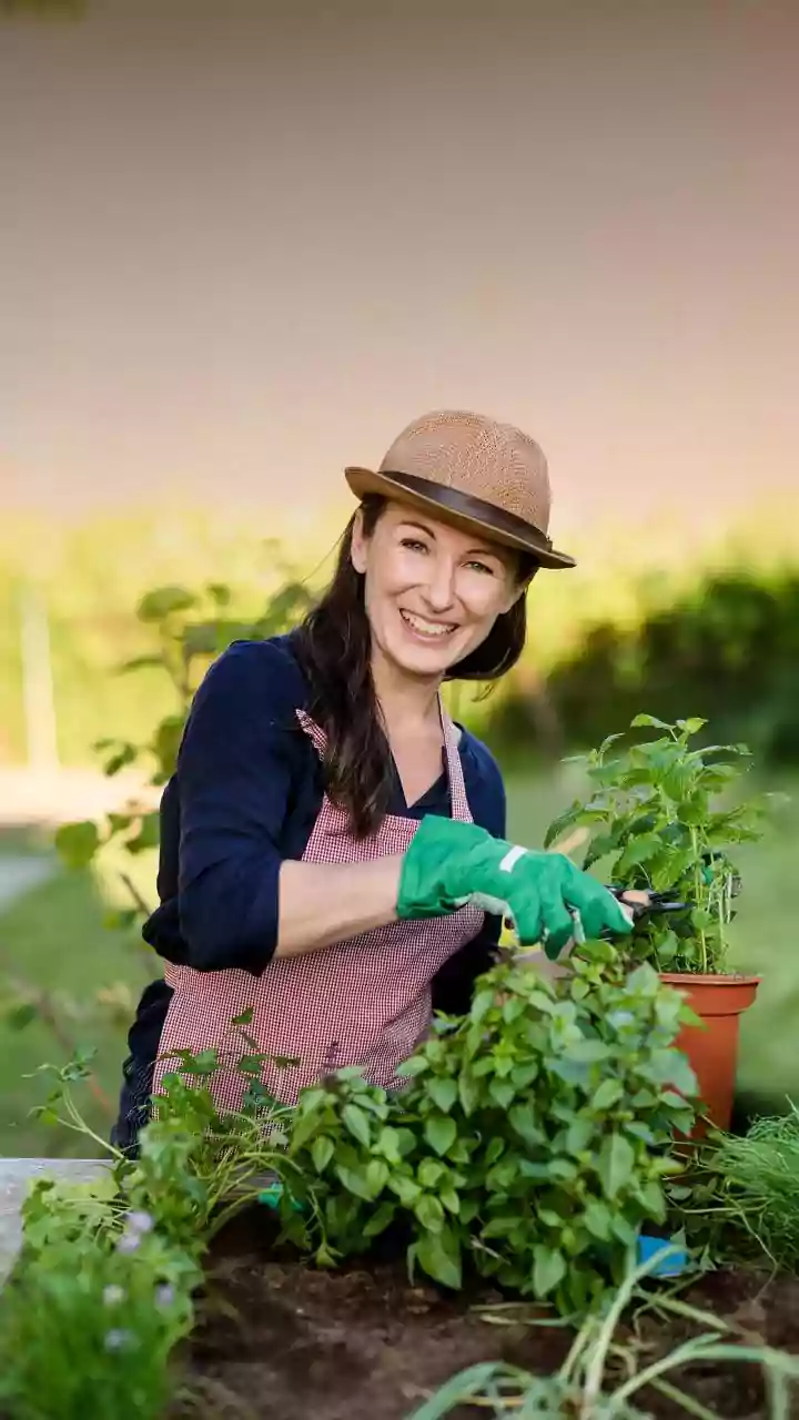 Grandma Garden Energy Is Soft, Warm And Practical