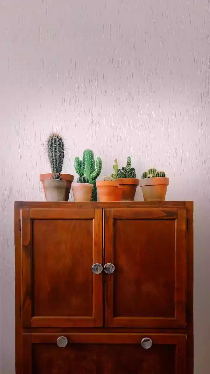Keep Your Cupboards Fresh This Monsoon With These Smart Moisture-Control Tips