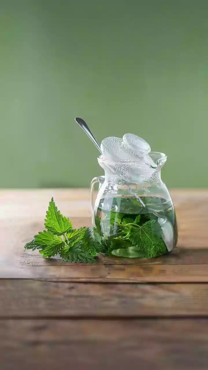Herbal Adaptogens For Stress: Ashwagandha vs Brahmi Comparison For Young Salaried Professionals