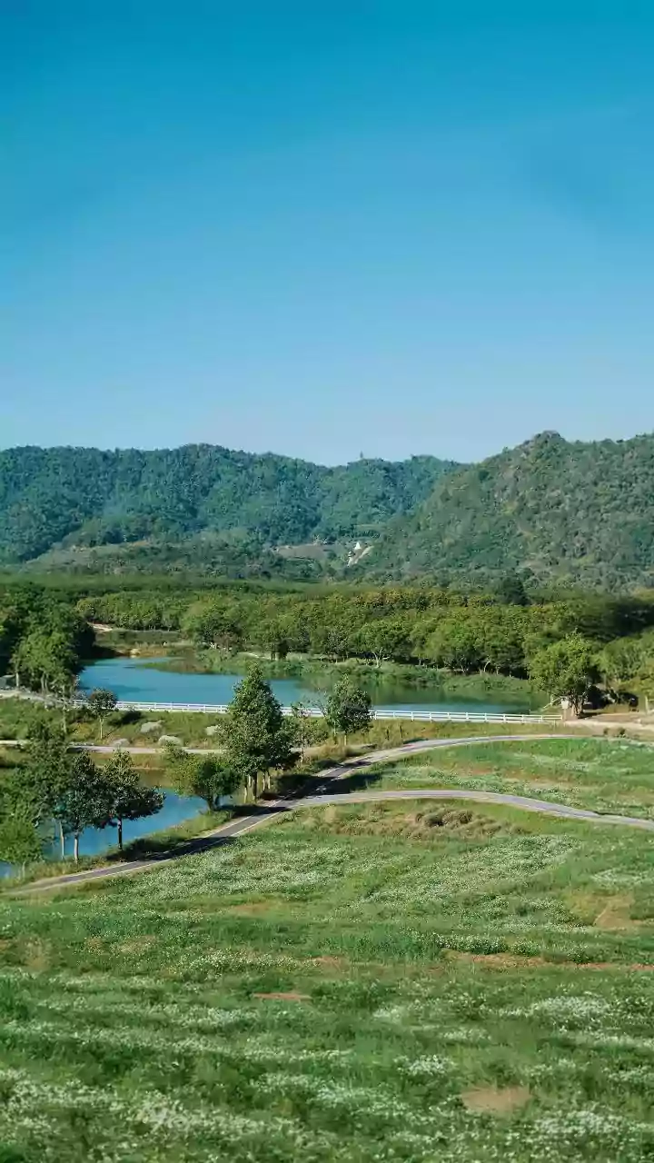 Championing Nature: The Ecologist's Community-Focused Vision