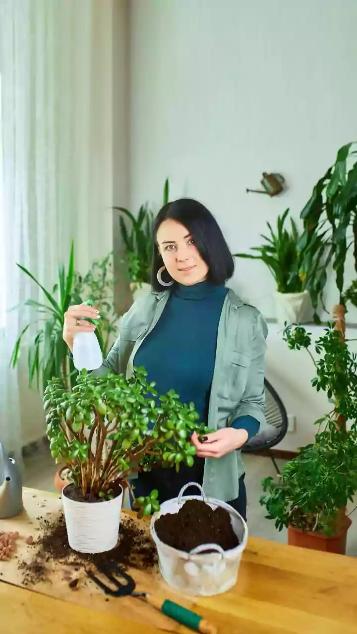 Overwatered Plants Can Invite Unwanted Guests