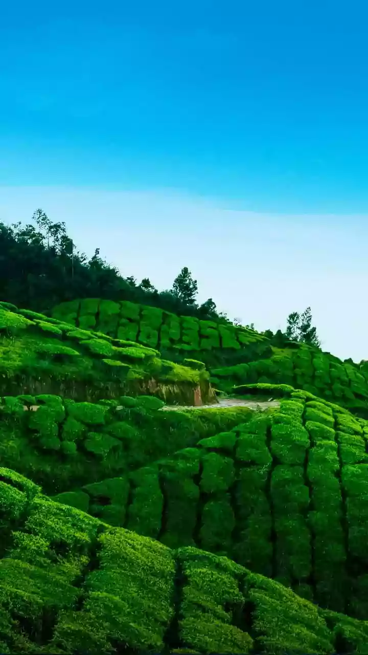 Kerala CM defends Malayalam language bill amid Karnataka's concerns