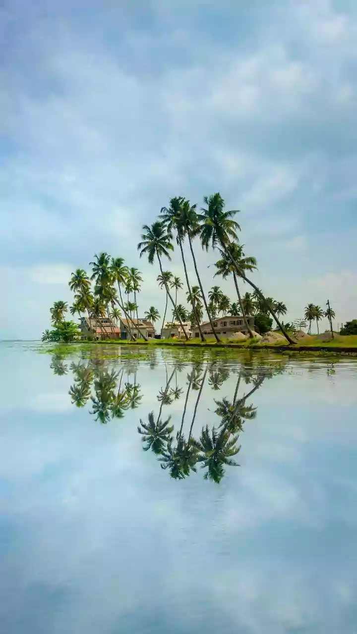 Why Kerala Sustainable Tourism Still Matters: The Latest Verified Position