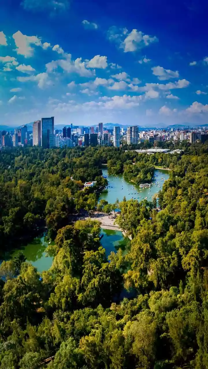 Can Bengaluru Grow Without Losing the Parks That Make It Liveable?