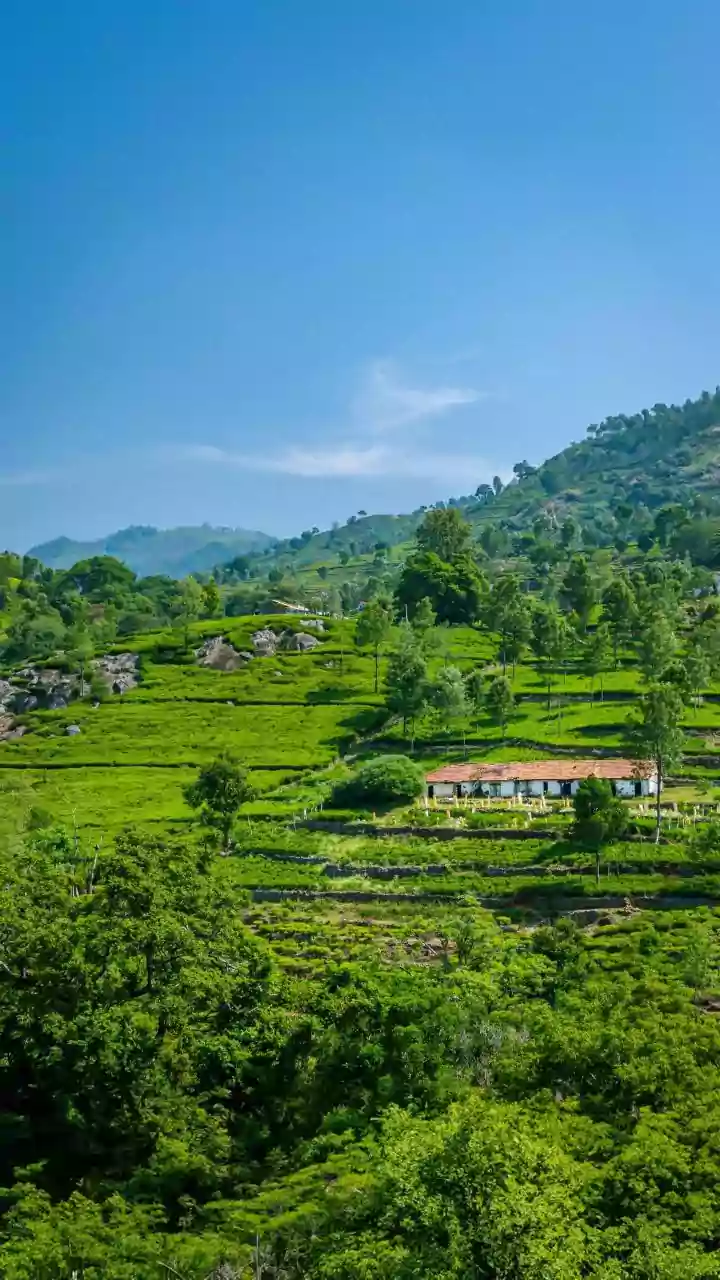 AI in Jharkhand: Revolutionizing Farming Practices