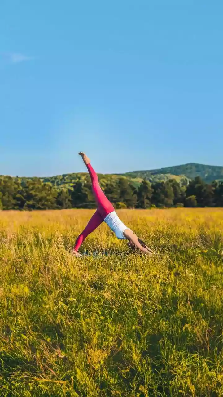 Why Consistent Daily Practice Of Simple Yoga Movements Is Key To Long-Term Flexibility For Freshers