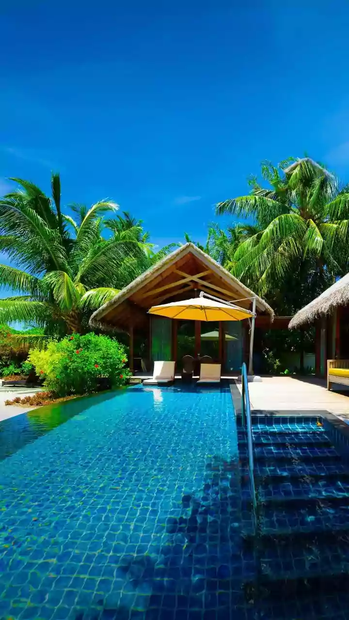 Sustainable Wayanad Resorts Offer Peaceful Bamboo Treehouse Escapes In Rains