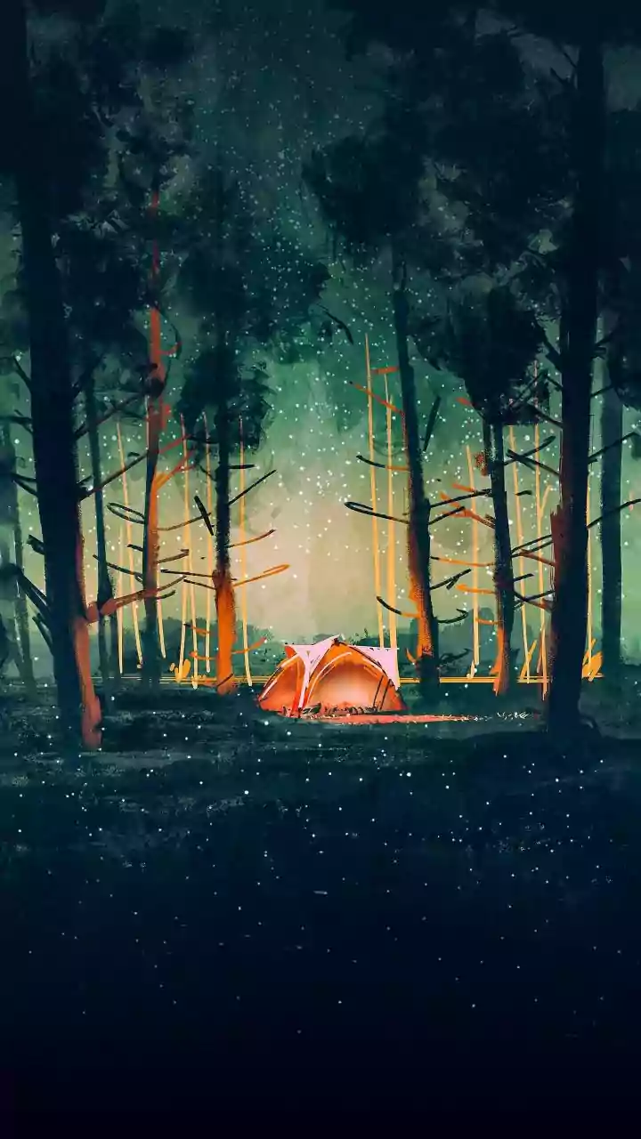 Thousands Of Fireflies Light Up India's Rainy Nights