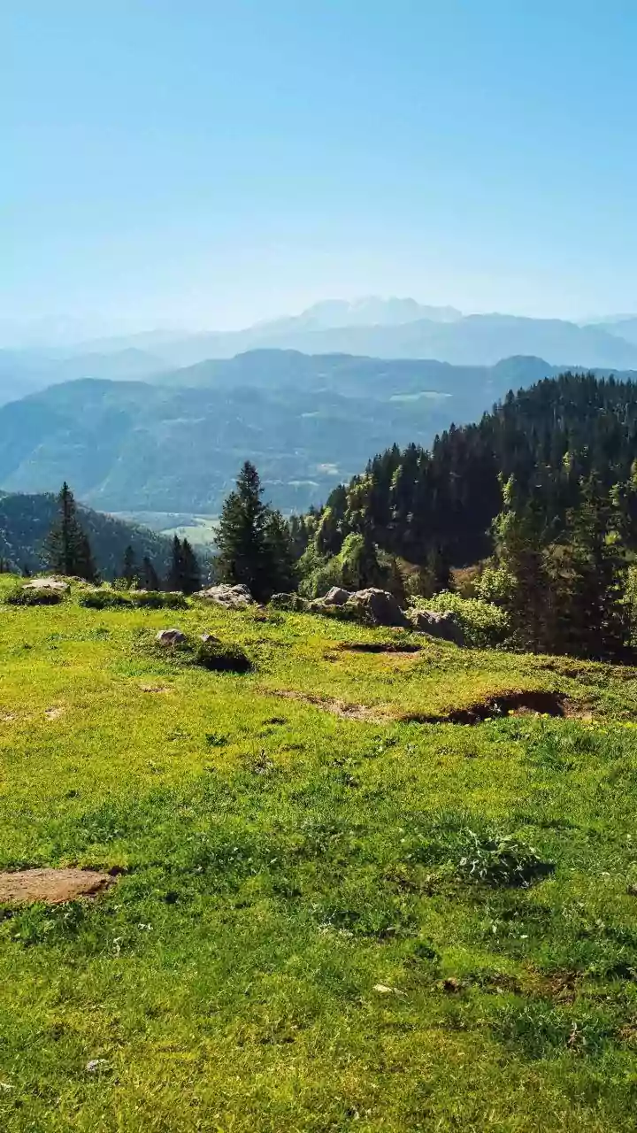 Deo Tibba's Forests and Meadows Offer a Less-Crowded Himalayan Escape
