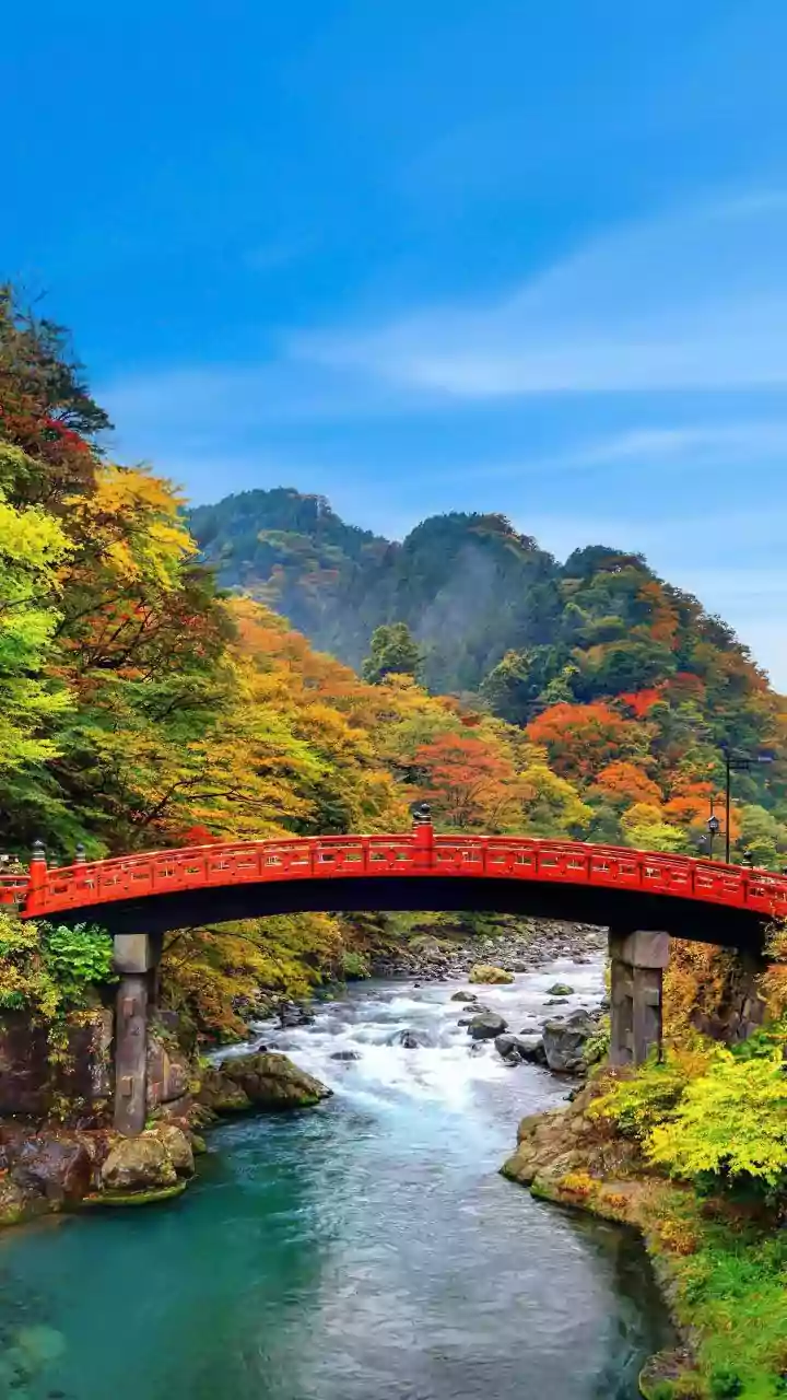 A 10-Day Japan Holiday With IRCTC: The Price, Route And Travel Dates Explained