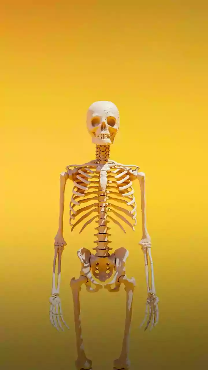 Osteoporose: médica alerta para sinais que surgem muito antes da primeira fratura
