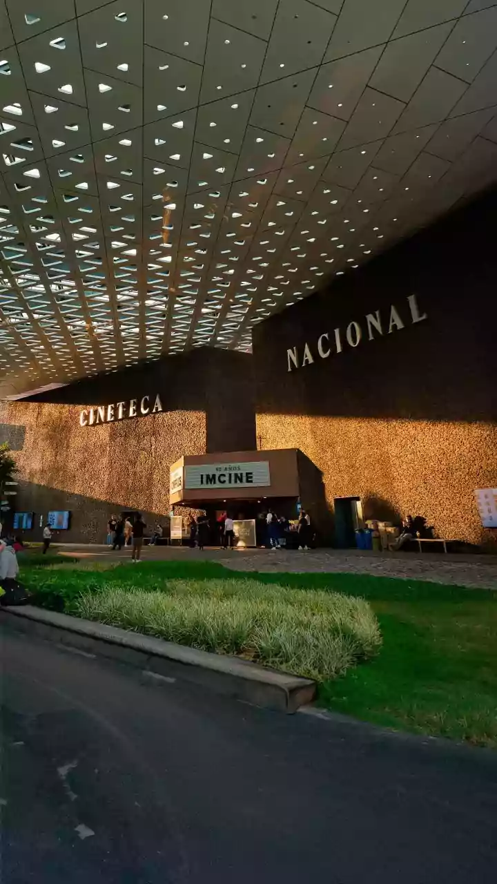 How To Reach NMIA From Navi Mumbai And Panvel; Here's A Complete Travel Guide