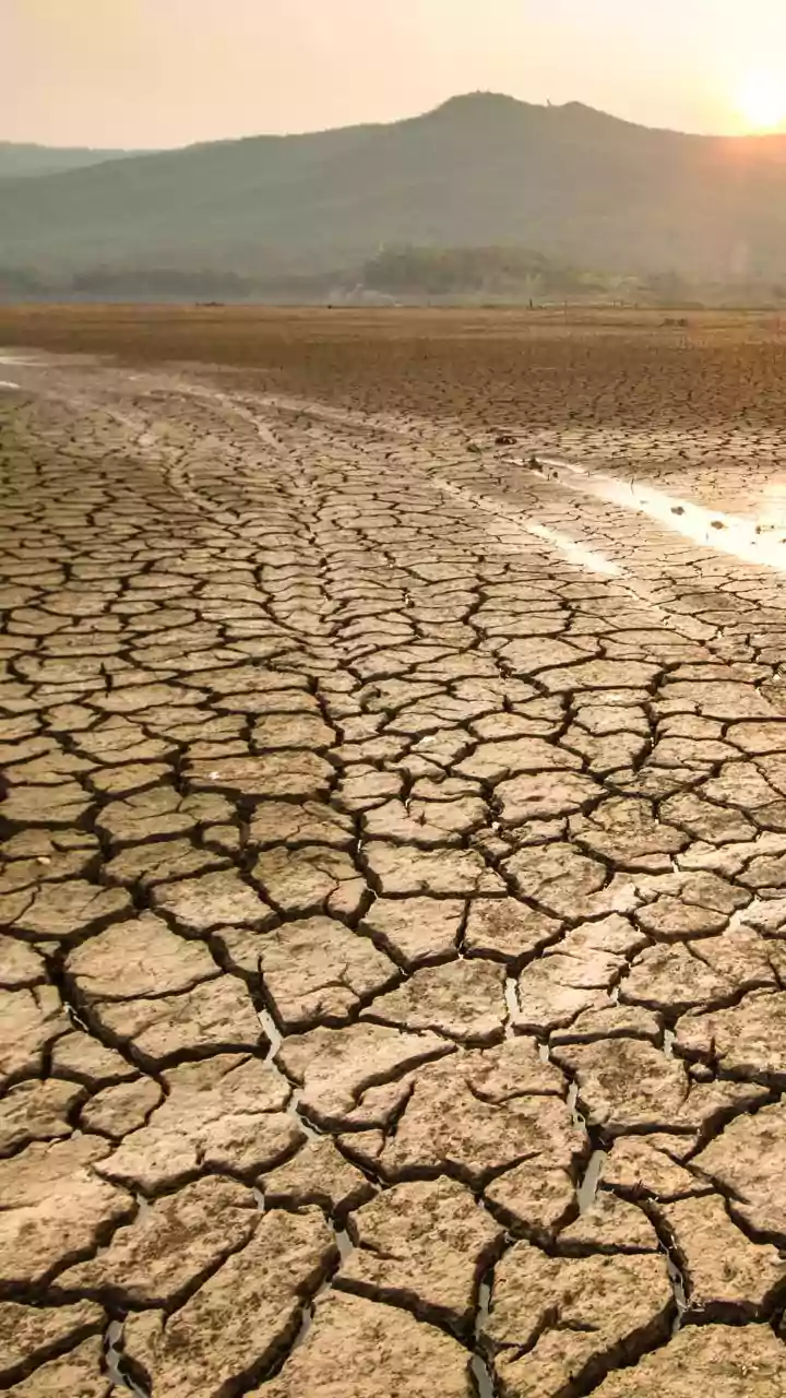 Understanding El Niño's Impact on India's Weather