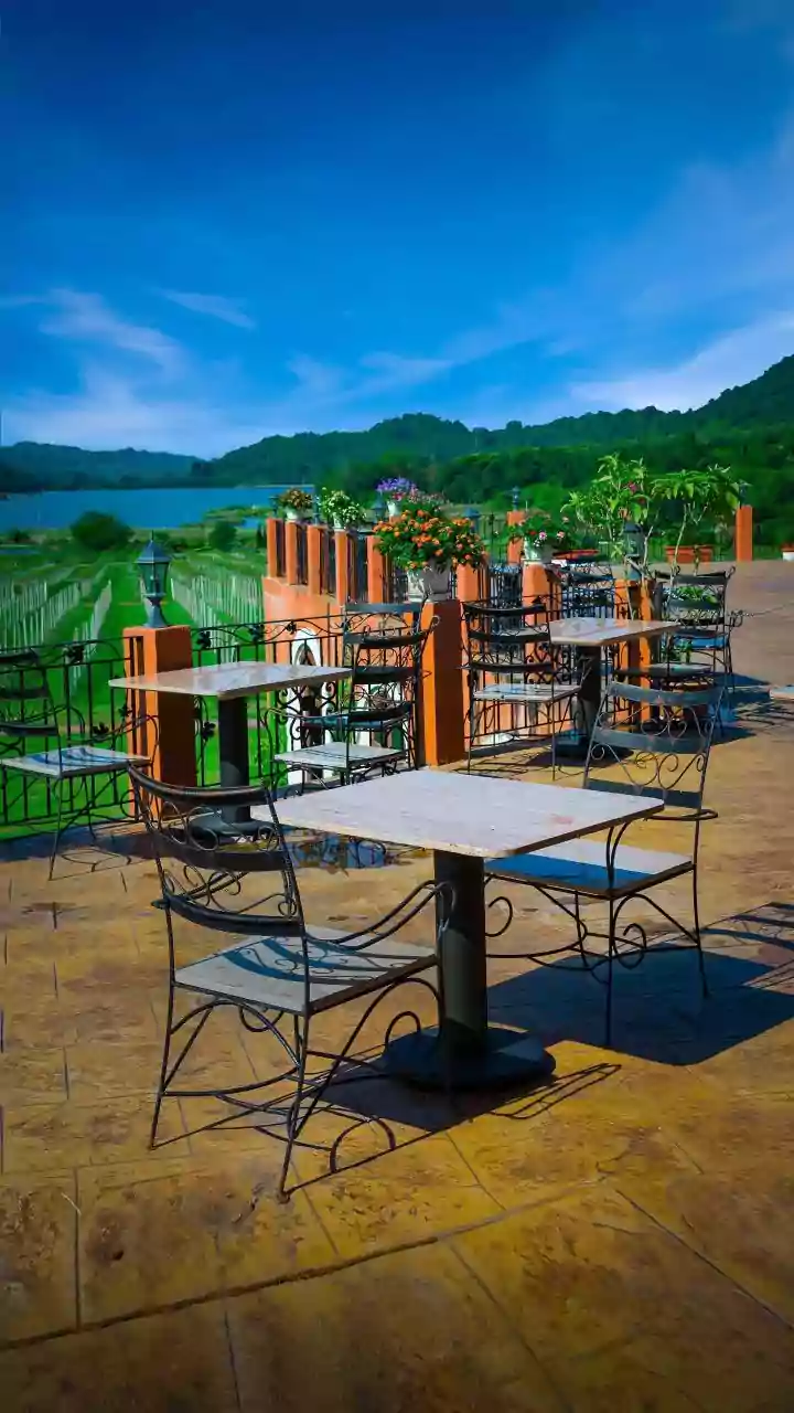 Wineyard Goa: A Delightful Wine Bar in Merces