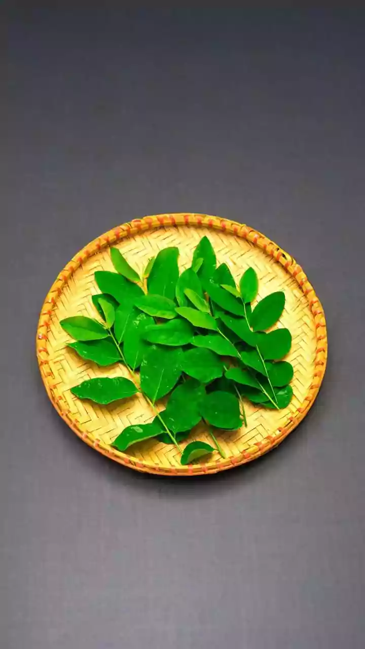 How Micro-Green Harvesting On Windowsill Trays Elevates Home Salad Prep With Fresh Harvests