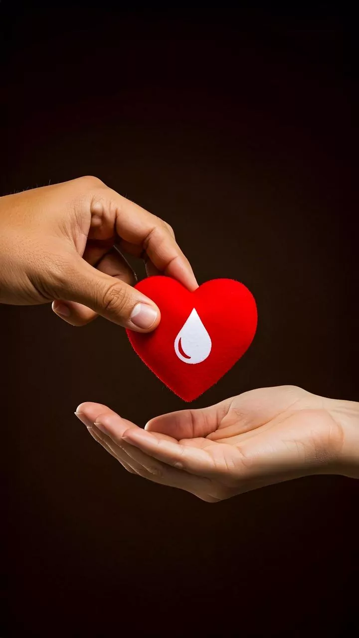 Doação de sangue: quem pode doar e como se preparar
