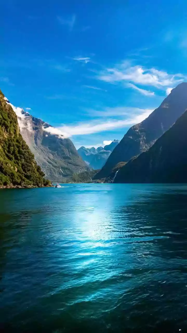 You must visit these scenic fjords in New Zealand