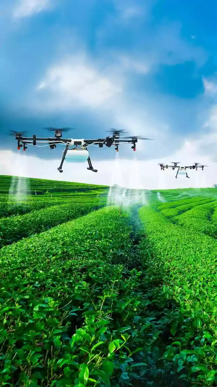 Digital Green’s AI app provides accessible advisory services to farmers