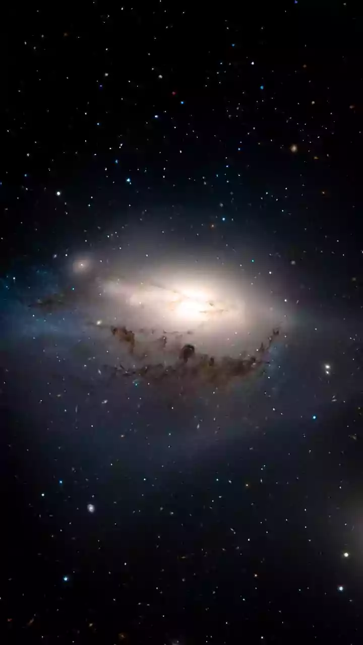 Quantas constantes tem o Universo? A resposta pode ser: "Apenas uma"