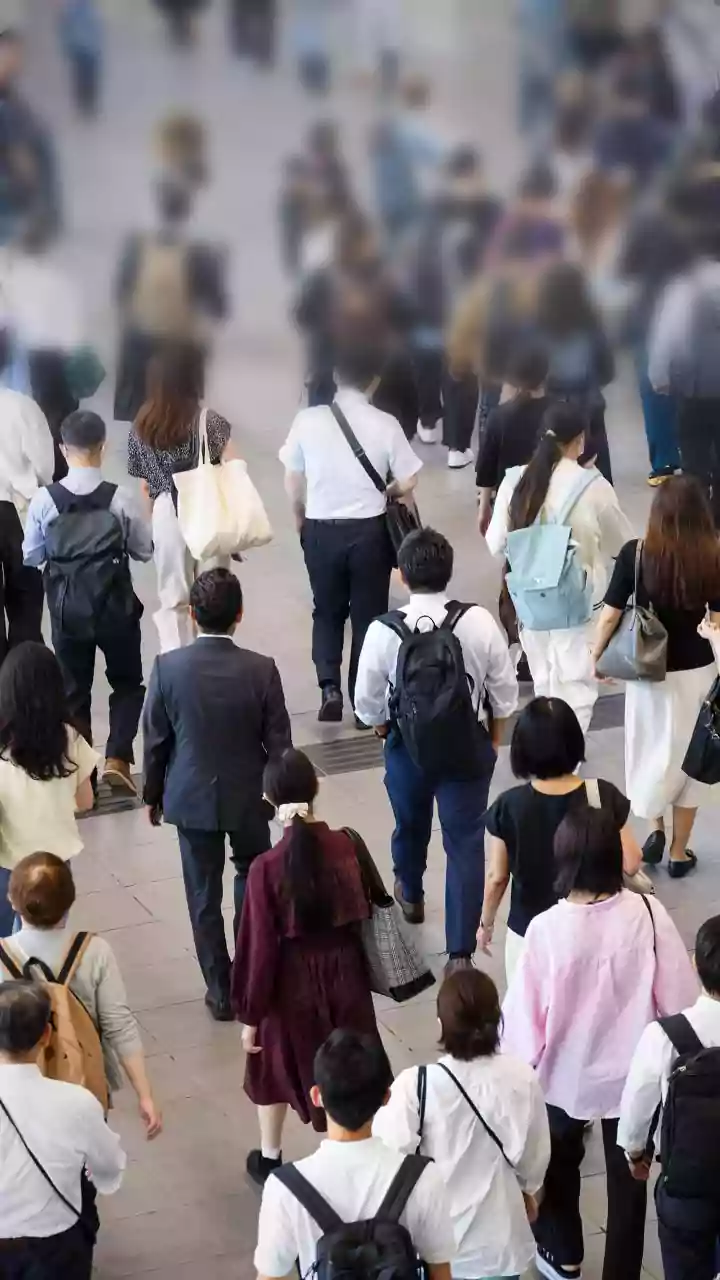 US job growth slows down in November