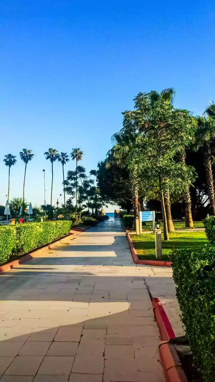 Printing presses of Punjab Kesari newspaper shall continue to function: SC