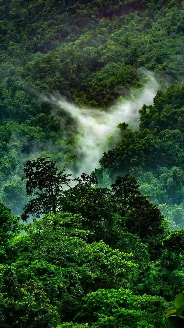 Earth's Drenched Destinations: Unveiling the 5 Wettest Places on the Planet