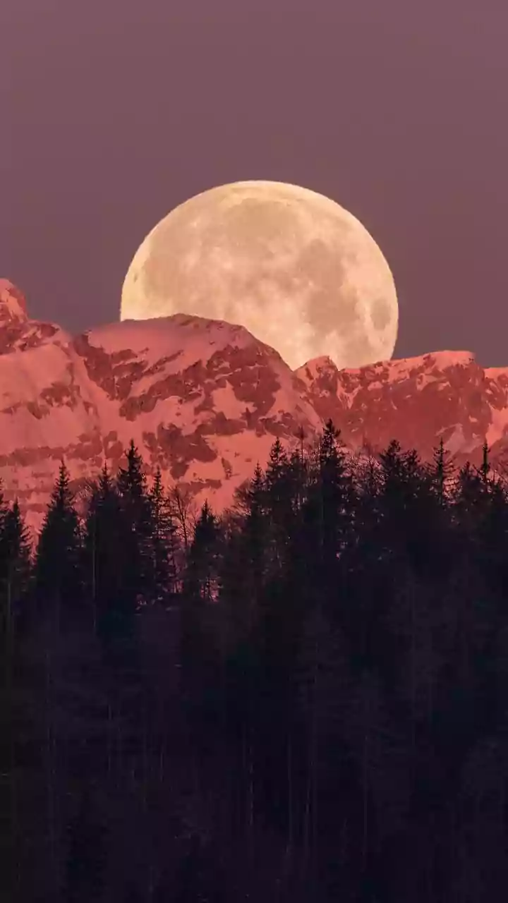 Related Stories banner