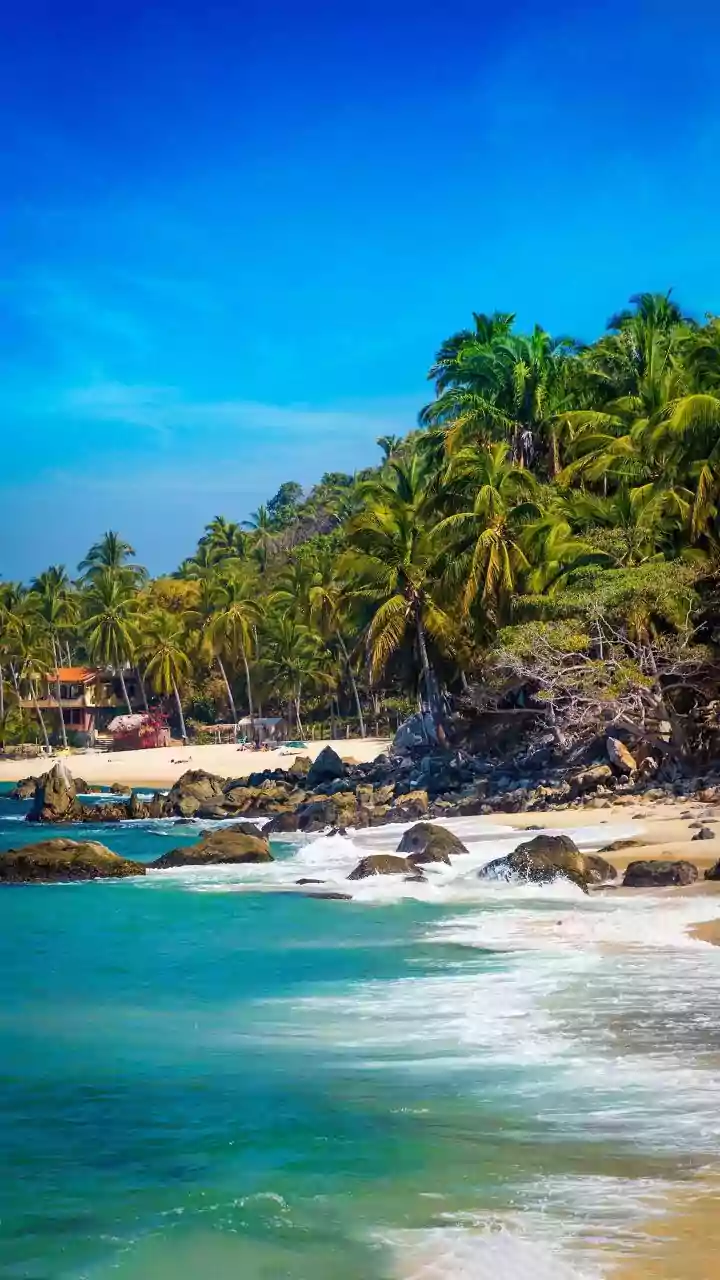 How Palolem Co Working Spaces Support Remote Workers Throughout The Monsoon