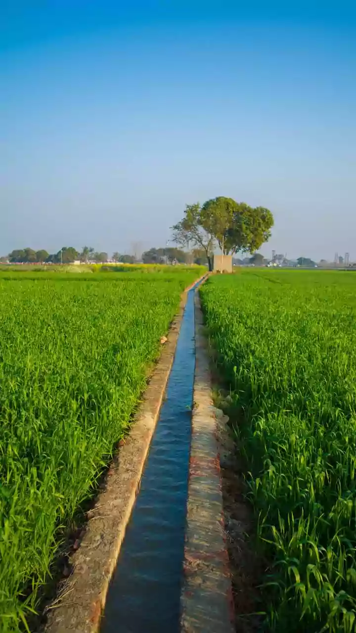 Ensure adequate fertilisers for TN to meet a surge in demand in coming months, CM urges Centre