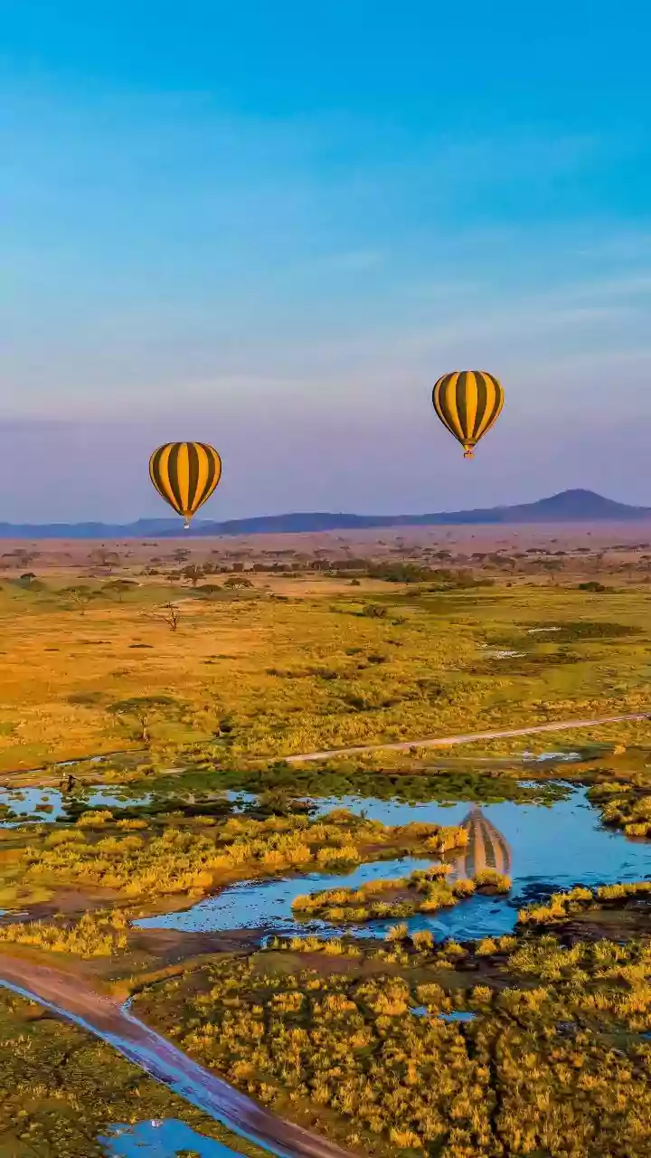 A South Africa Travel Story Built Around Safaris, Roads and Stillness
