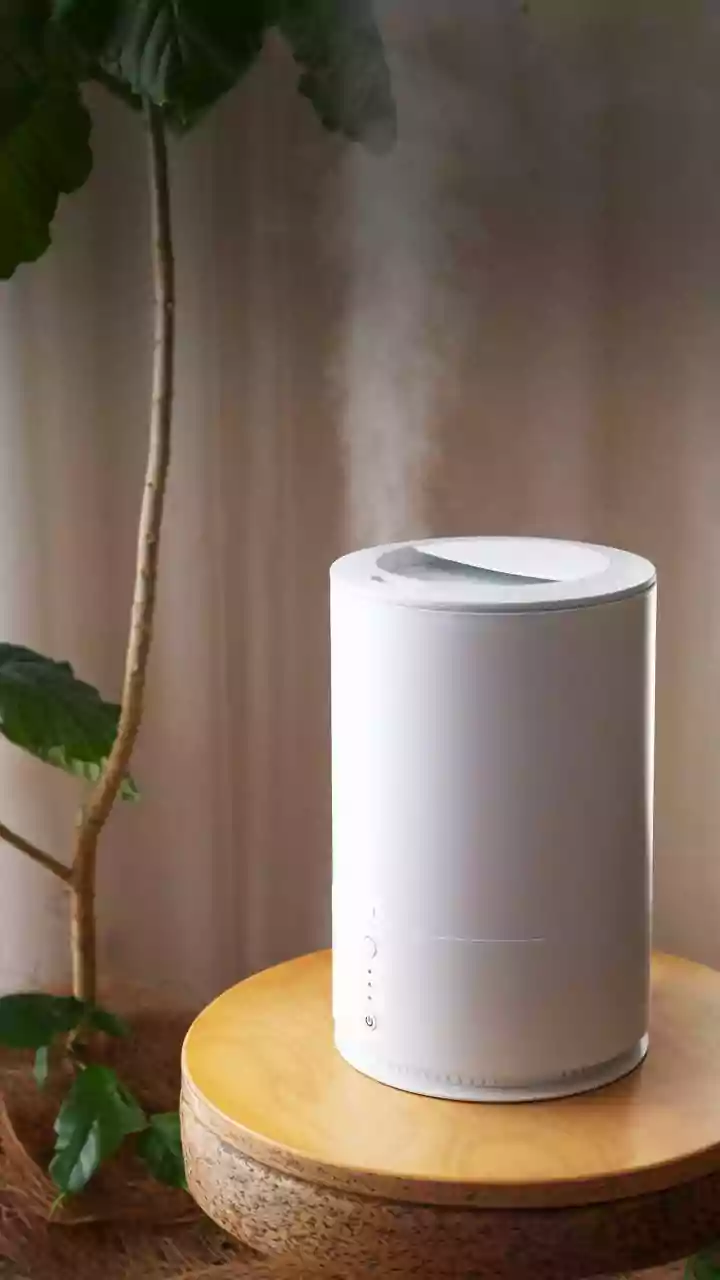 Monsoon Humidity And Mould: A Simple Prevention Guide