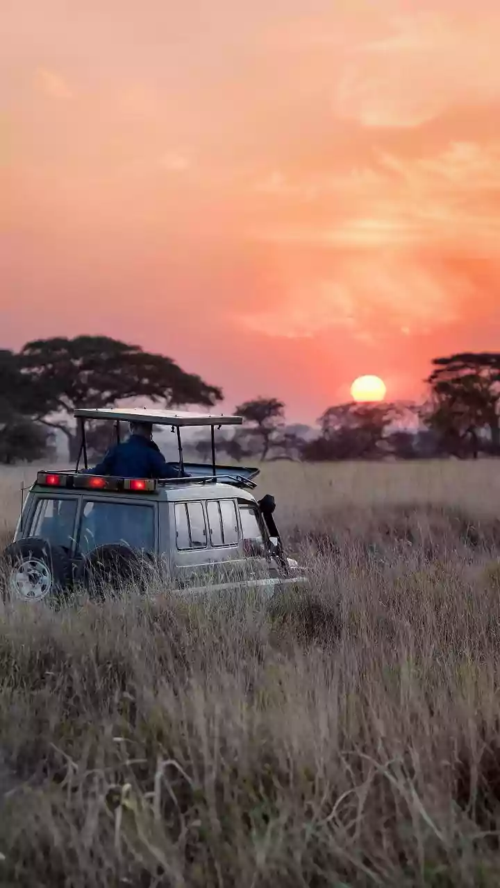 India's First High-Altitude Safari Targets Responsible Alpine Tourism