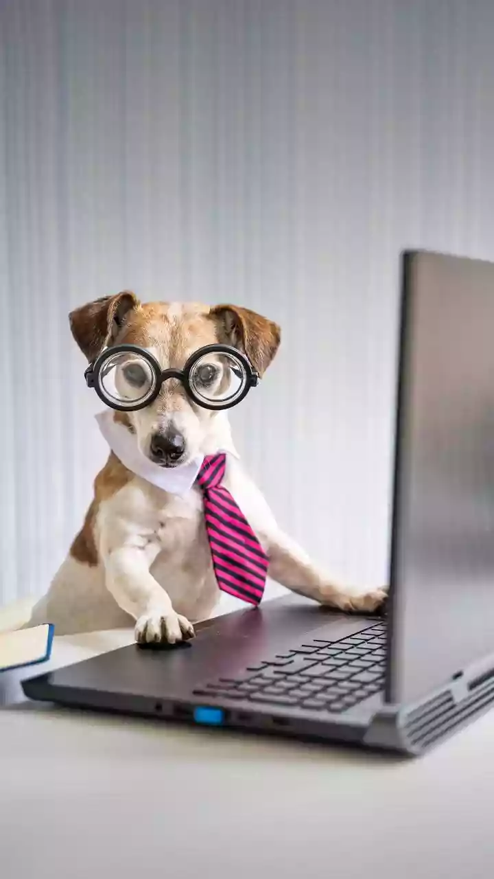 Furry Bosses Need More Than Allowed Entry