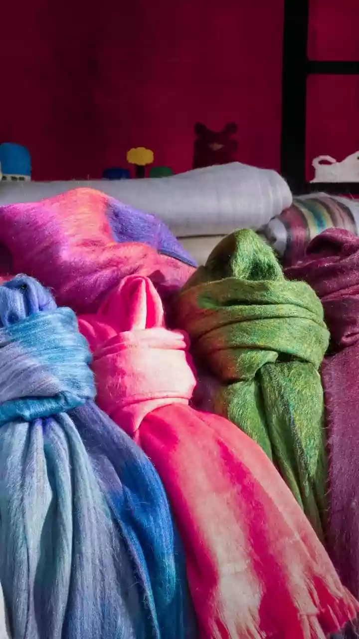 The Enduring Legacy: A 3,000-Year Journey of the Indian Dupatta