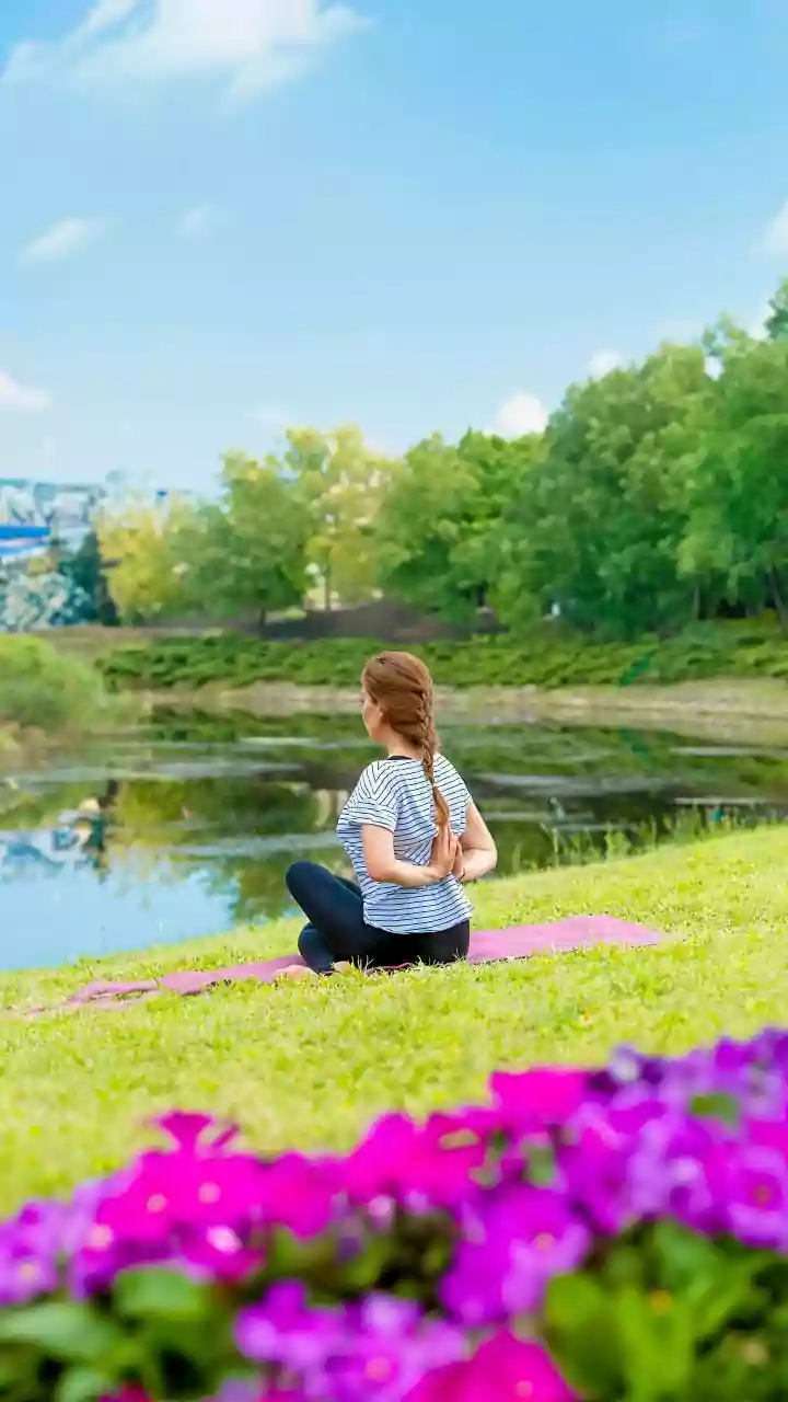 Unlock Greater Flexibility Easy Daily Yoga Asanas Every Home Beginner Can Master