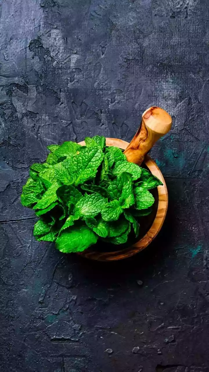 Turn leftover coriander and mint stems into fresh zero waste cooking oils
