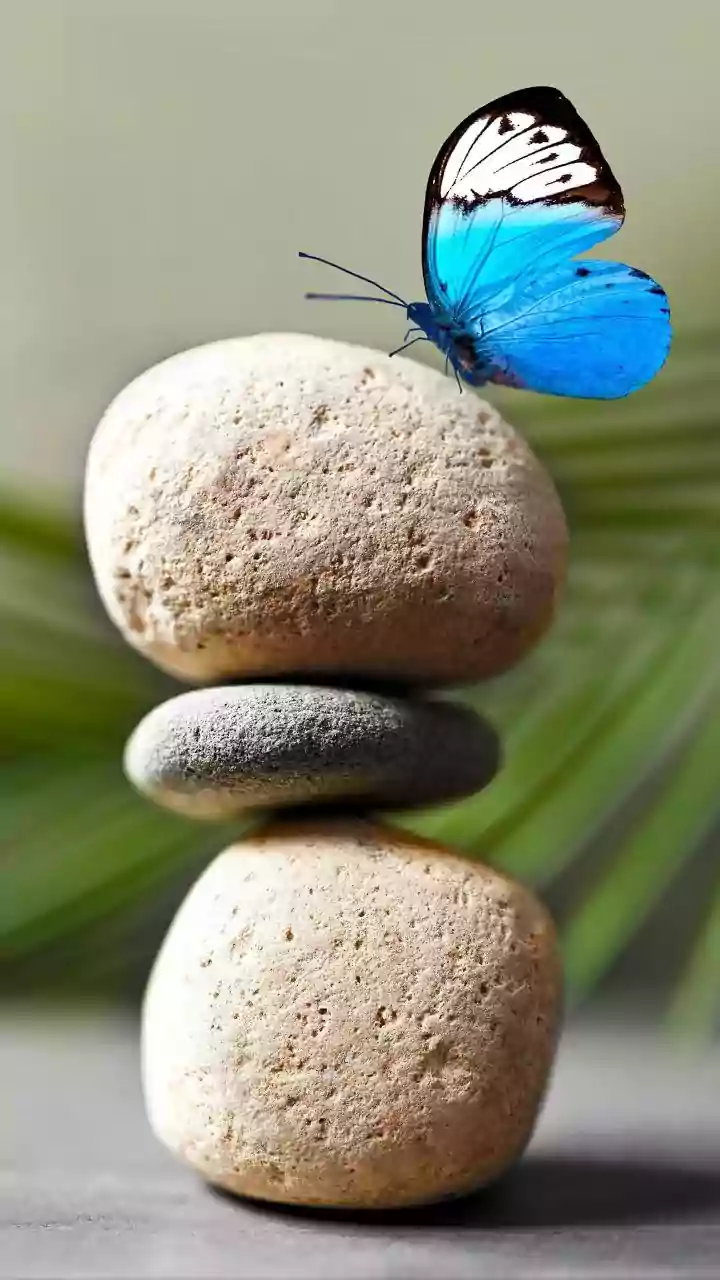 5 Habits for Mental Wellness: Your Daily Guide