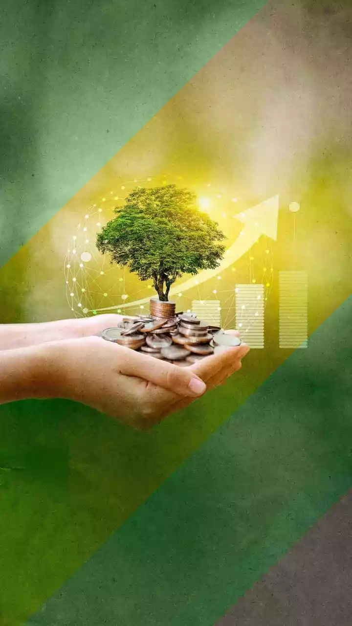 Evolving Macros Continue To Drive Decisions Across India's Changing Investment Landscape