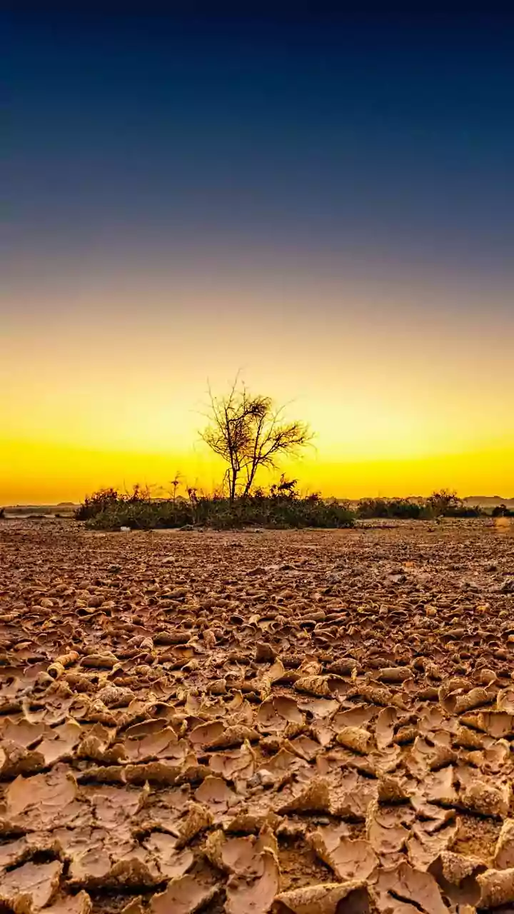 Uttar Pradesh Braces for 5-Day Heatwave: IMD Issues Alert for 30+ Districts