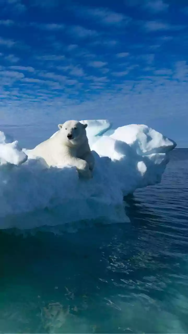 Trump says he won't attend emergency meeting on Greenland