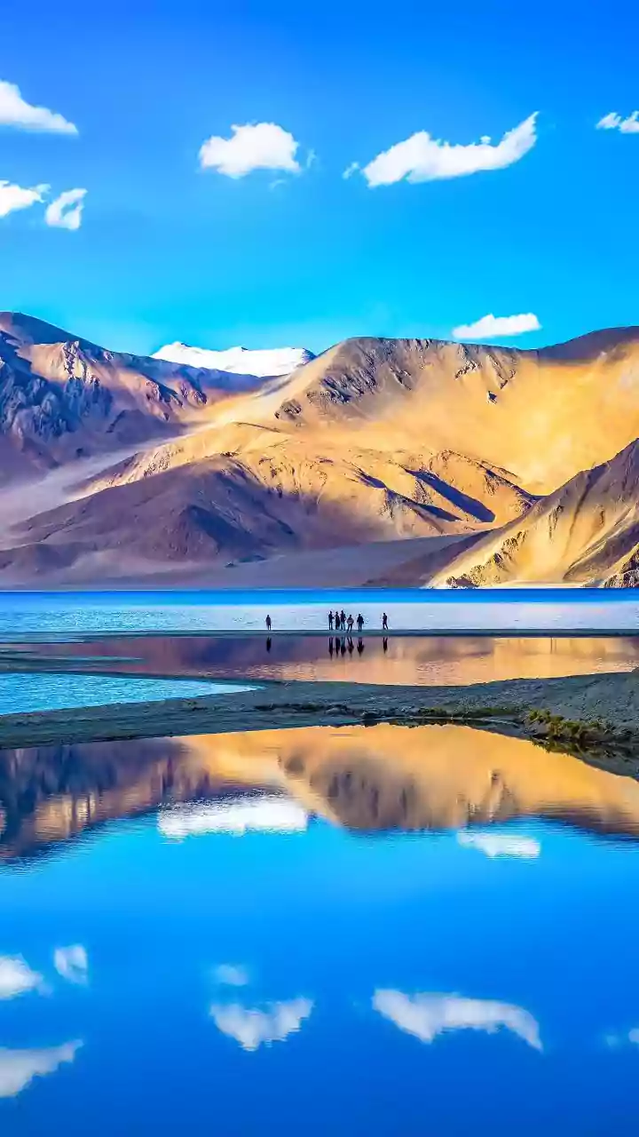 Ladakh LG calls for strong measures to tackle 'white-collar' terror