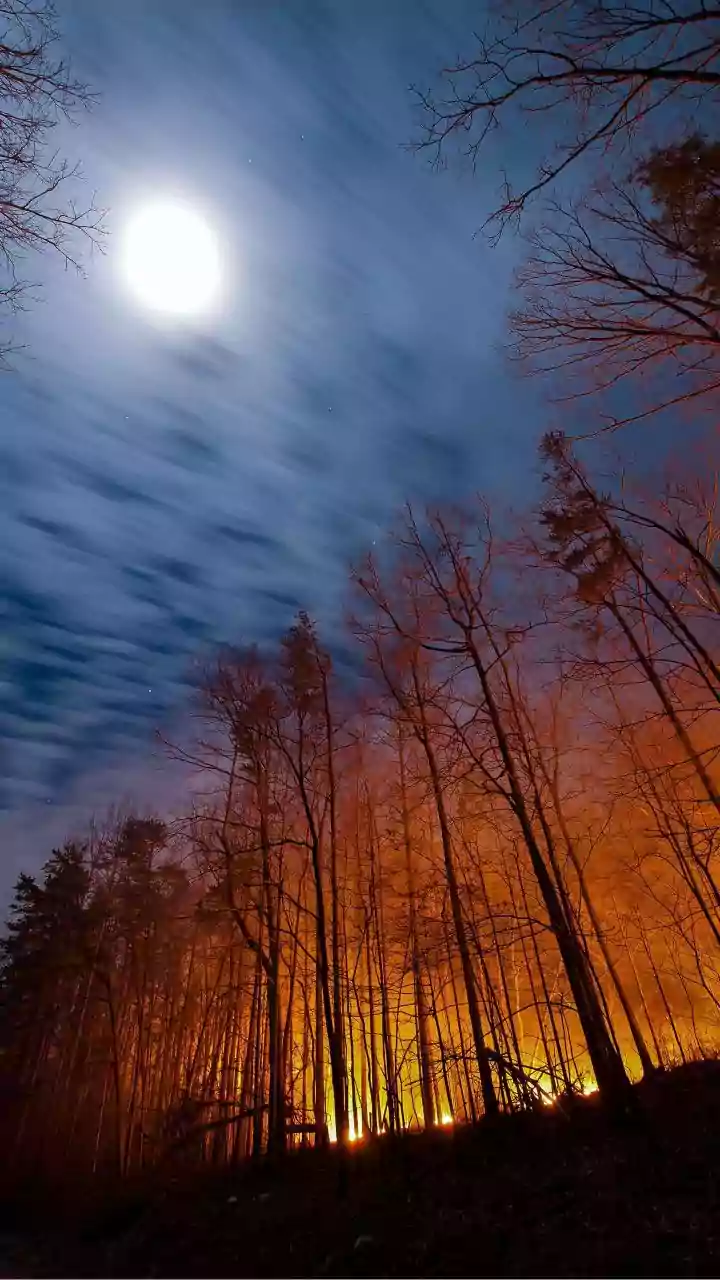 Fumaça de incêndios florestais no Canadá atinge cidades do país e dos EUA