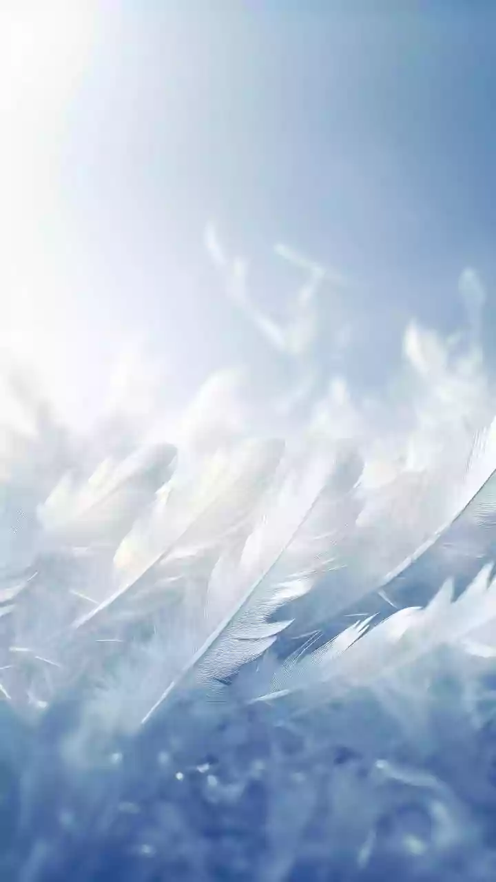 Decoding Angel Numbers: Spiritual Guidance for You