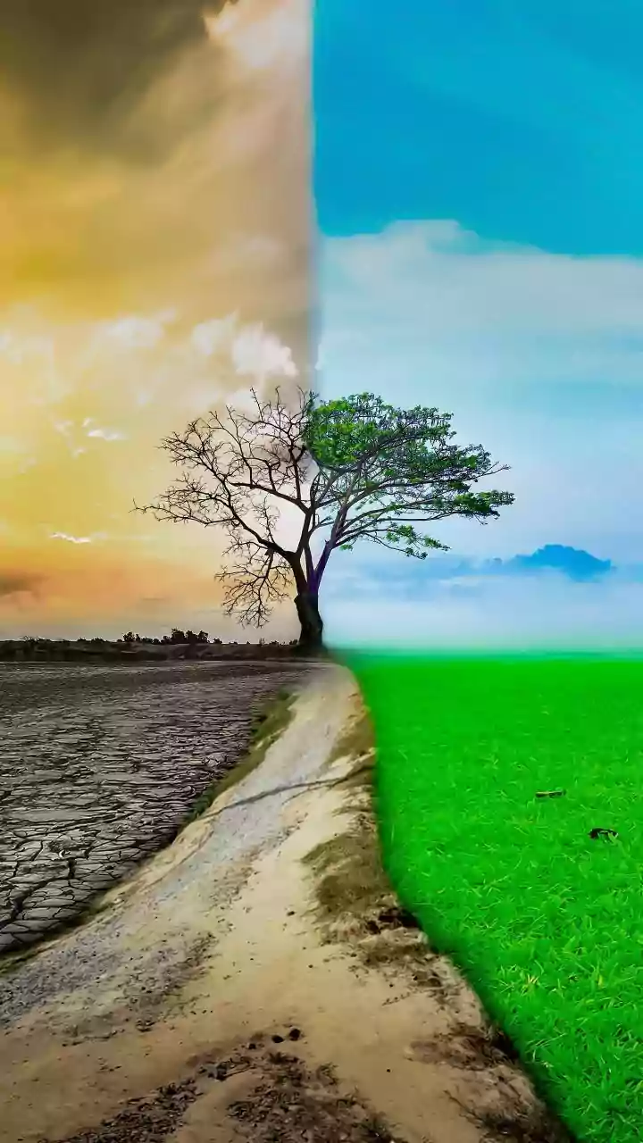 Climate Change's Impact on Mental Health: A Growing Crisis