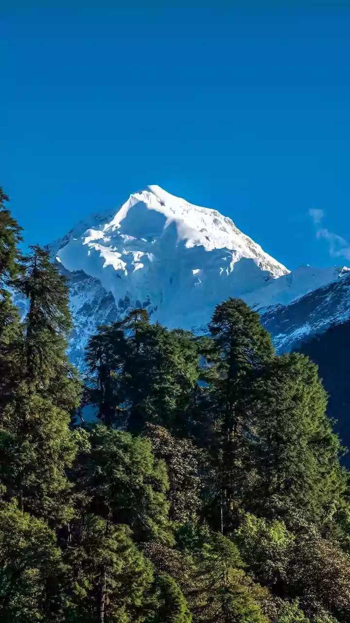 UBSE Uttarakhand Exam Datesheet 2026 Released: Key Dates